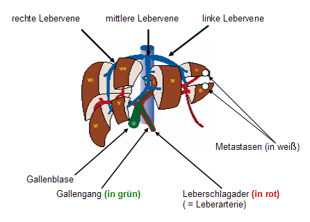 Abbildung 10